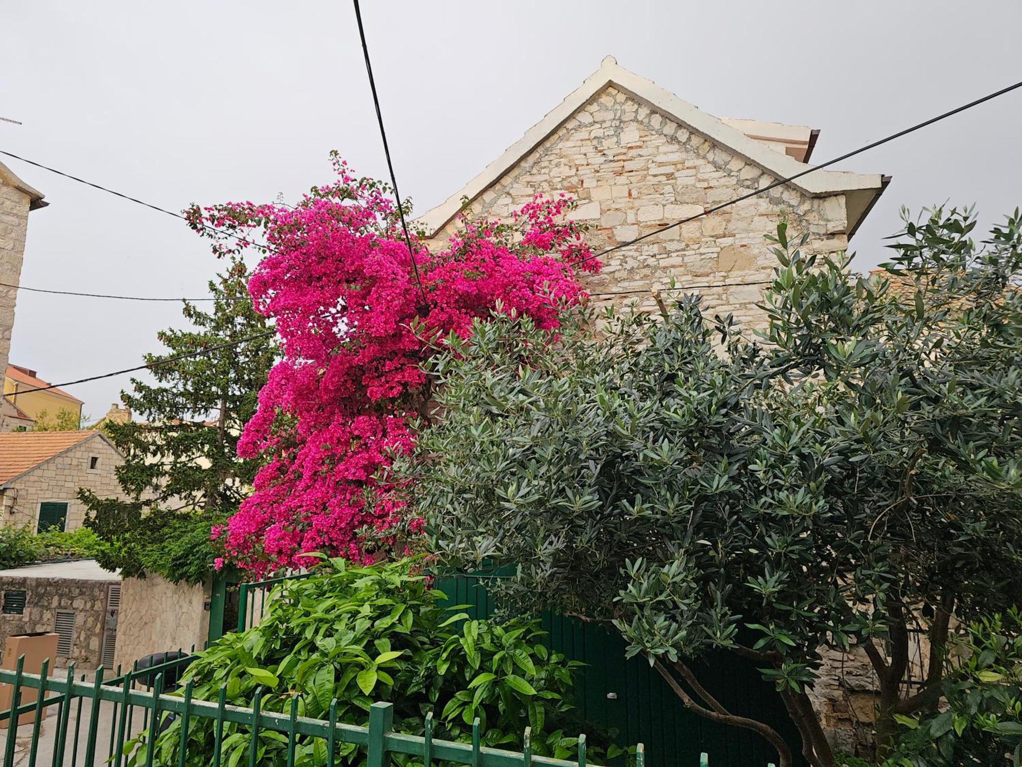 Apartment Franicevic Split Exterior foto
